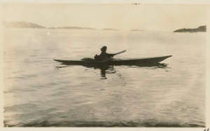 Image of Kayak- Oodee bringing home a seal